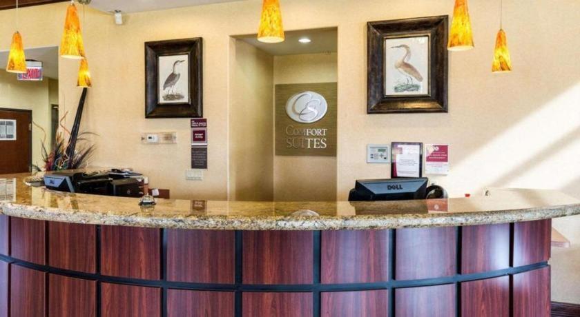 Comfort Suites Near Nasa - Clear Lake Webster Exterior foto
